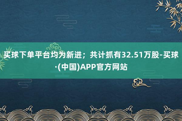 买球下单平台均为新进；共计抓有32.51万股-买球·(中国)APP官方网站