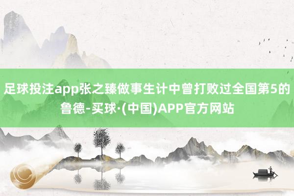 足球投注app张之臻做事生计中曾打败过全国第5的鲁德-买球·(中国)APP官方网站