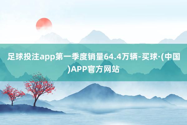 足球投注app第一季度销量64.4万辆-买球·(中国)APP官方网站