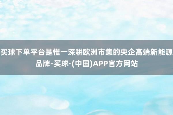 买球下单平台是惟一深耕欧洲市集的央企高端新能源品牌-买球·(中国)APP官方网站