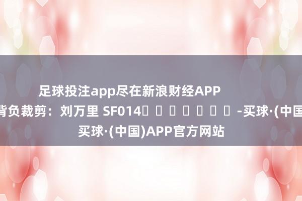 足球投注app尽在新浪财经APP            						背负裁剪：刘万里 SF014							-买球·(中国)APP官方网站