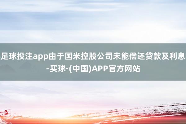 足球投注app由于国米控股公司未能偿还贷款及利息-买球·(中国)APP官方网站