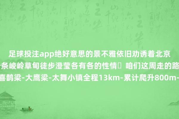 足球投注app绝好意思的景不雅依旧劝诱着北京的户外东谈主前去每一条峻岭草甸徒步澄莹各有各的性情⛰咱们这周走的路子是水泉子村-喜鹊梁-大鹰梁-太舞小镇全程13km-累计爬升800m-累计下落800m在白桦林里爬升200m就到达梁上远不雅风车阵沿着北都长城劳动前行一都会流程一派又一派的小脚花丛抵达最高点时风速达到7级劲风🌪行进费事（见图9）（PS：这即是夏天也强制条件各人带冲锋衣带御冬装物的原因）不敢