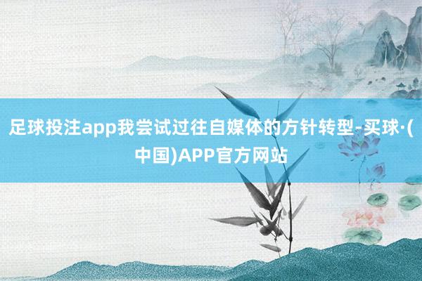 足球投注app我尝试过往自媒体的方针转型-买球·(中国)APP官方网站