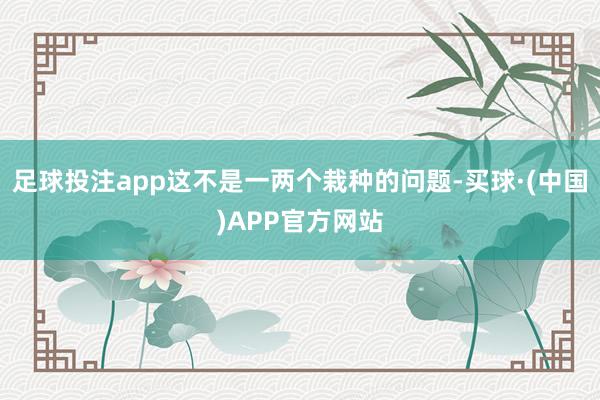 足球投注app这不是一两个栽种的问题-买球·(中国)APP官方网站