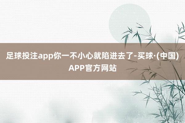 足球投注app你一不小心就陷进去了-买球·(中国)APP官方网站