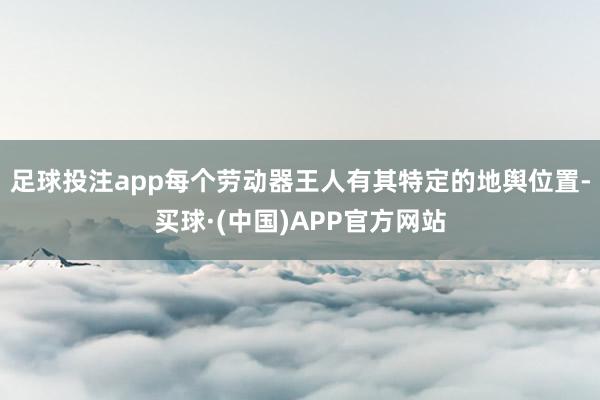 足球投注app每个劳动器王人有其特定的地舆位置-买球·(中国)APP官方网站