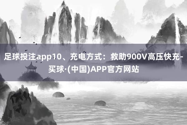 足球投注app10、充电方式：救助900V高压快充-买球·(中国)APP官方网站