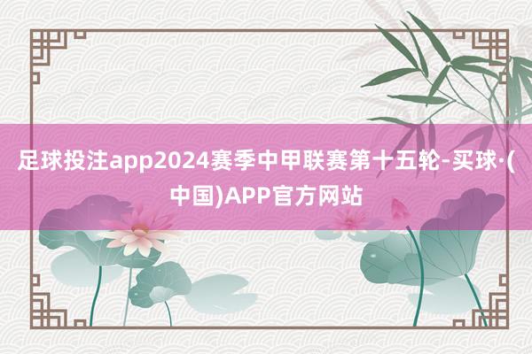 足球投注app2024赛季中甲联赛第十五轮-买球·(中国)APP官方网站