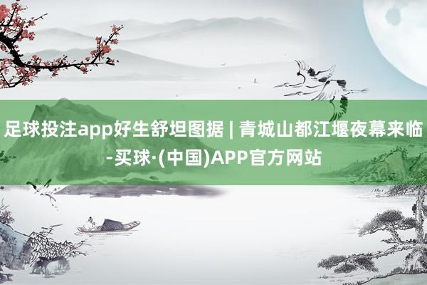 足球投注app好生舒坦图据 | 青城山都江堰夜幕来临-买球·(中国)APP官方网站