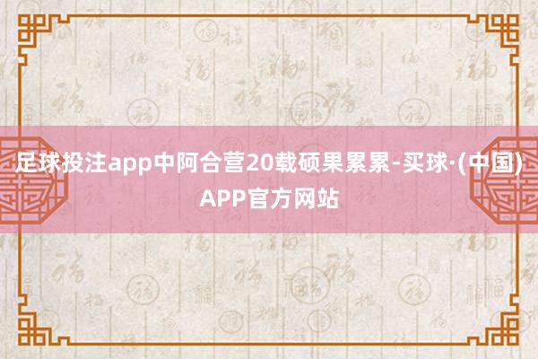 足球投注app中阿合营20载硕果累累-买球·(中国)APP官方网站