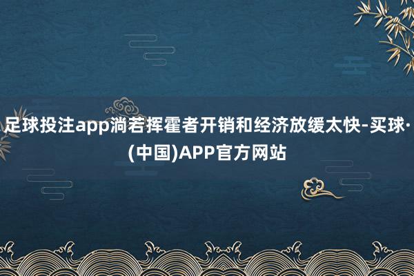 足球投注app淌若挥霍者开销和经济放缓太快-买球·(中国)APP官方网站