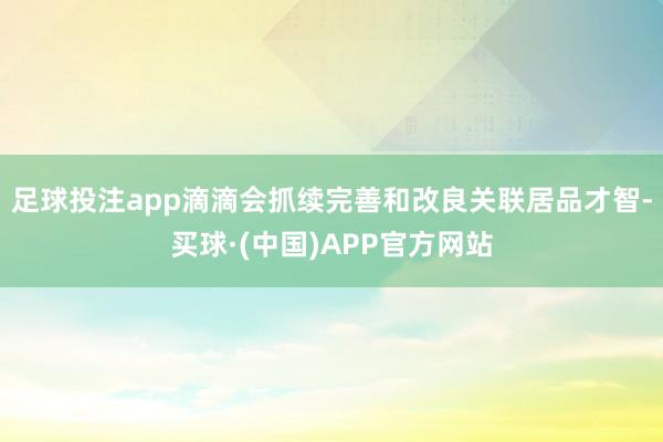 足球投注app滴滴会抓续完善和改良关联居品才智-买球·(中国)APP官方网站