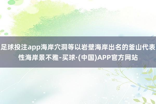 足球投注app海岸穴洞等以岩壁海岸出名的釜山代表性海岸景不雅-买球·(中国)APP官方网站