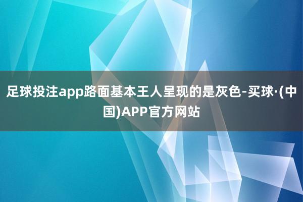 足球投注app路面基本王人呈现的是灰色-买球·(中国)APP官方网站