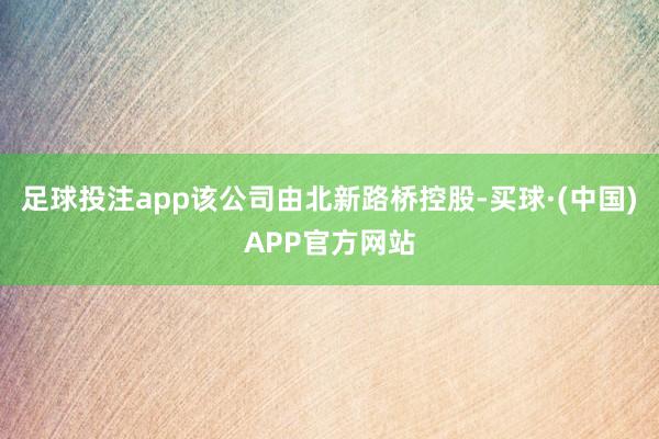 足球投注app该公司由北新路桥控股-买球·(中国)APP官方网站