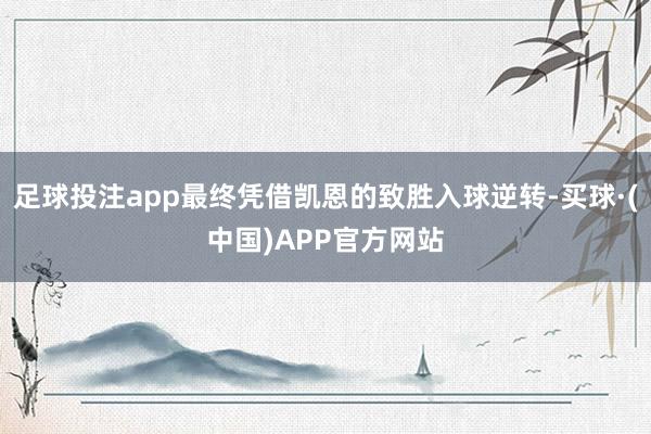 足球投注app最终凭借凯恩的致胜入球逆转-买球·(中国)APP官方网站