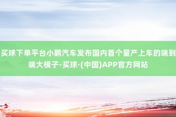 买球下单平台小鹏汽车发布国内首个量产上车的端到端大模子-买球·(中国)APP官方网站