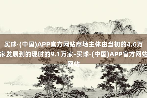 买球·(中国)APP官方网站商场主体由当初的4.6万家发展到的现时的9.1万家-买球·(中国)APP官方网站