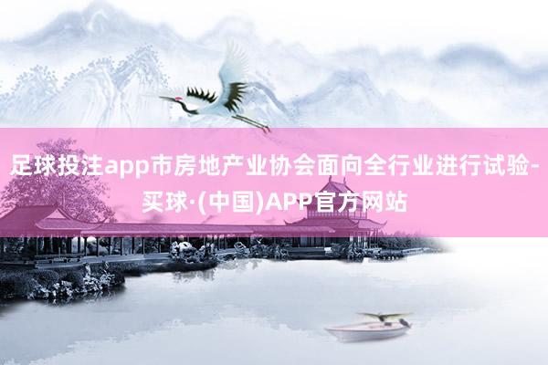 足球投注app市房地产业协会面向全行业进行试验-买球·(中国)APP官方网站