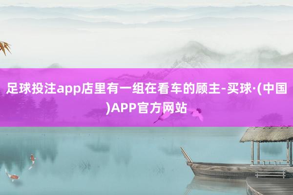 足球投注app店里有一组在看车的顾主-买球·(中国)APP官方网站