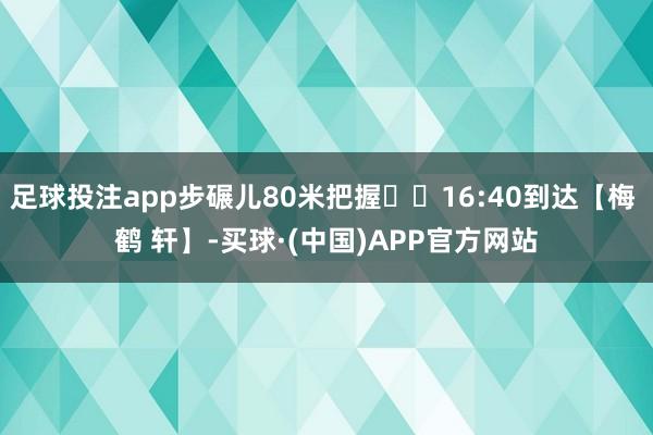 足球投注app步碾儿80米把握➡️16:40到达【梅 鹤 轩】-买球·(中国)APP官方网站