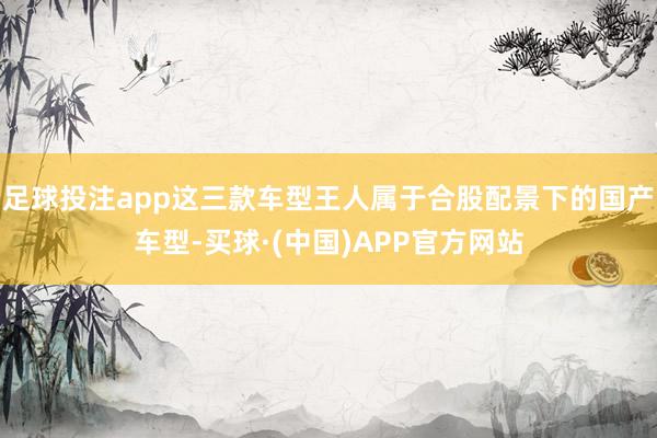 足球投注app这三款车型王人属于合股配景下的国产车型-买球·(中国)APP官方网站