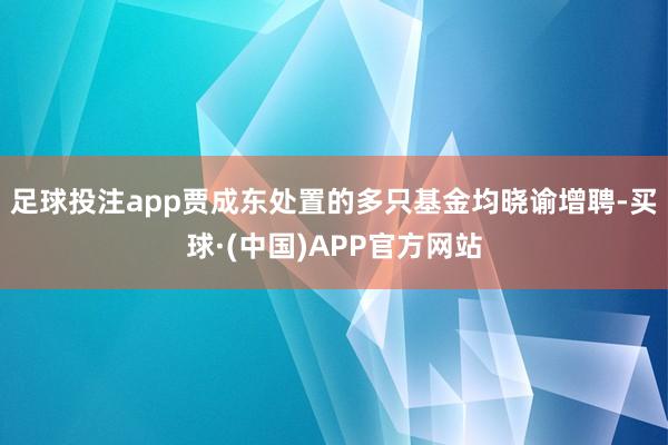 足球投注app贾成东处置的多只基金均晓谕增聘-买球·(中国)APP官方网站