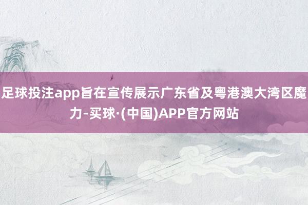 足球投注app旨在宣传展示广东省及粤港澳大湾区魔力-买球·(中国)APP官方网站