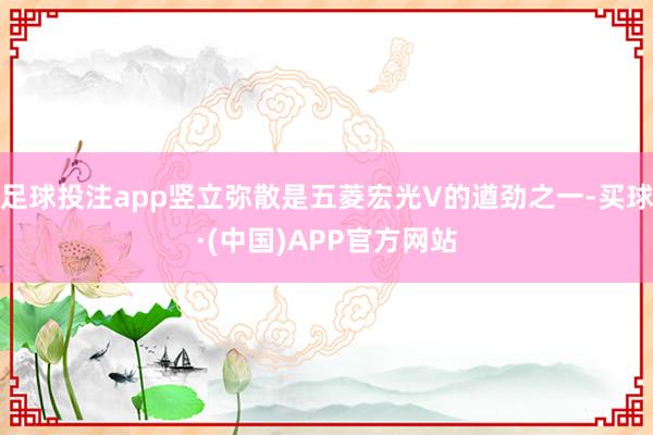 足球投注app竖立弥散是五菱宏光V的遒劲之一-买球·(中国)APP官方网站