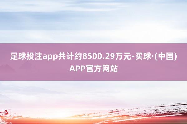 足球投注app共计约8500.29万元-买球·(中国)APP官方网站