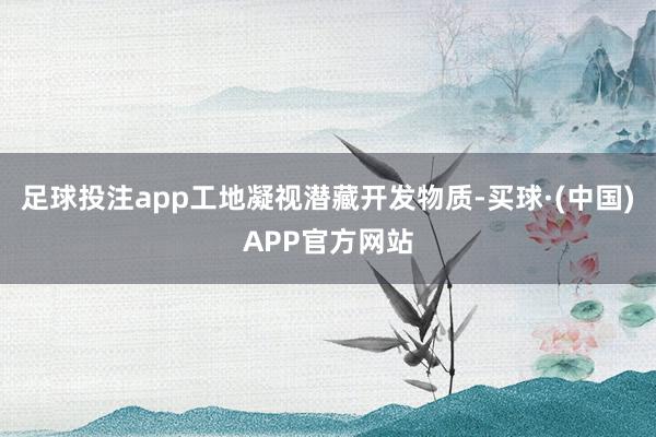 足球投注app工地凝视潜藏开发物质-买球·(中国)APP官方网站