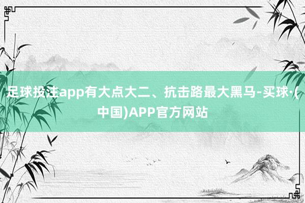 足球投注app有大点大二、抗击路最大黑马-买球·(中国)APP官方网站