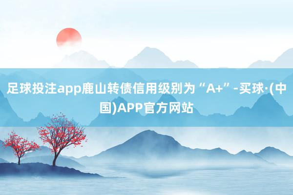 足球投注app鹿山转债信用级别为“A+”-买球·(中国)APP官方网站