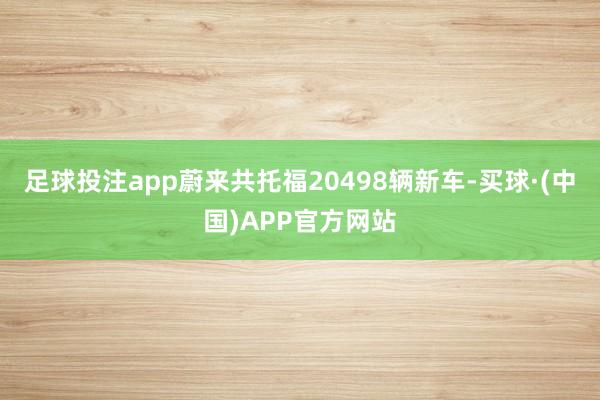 足球投注app蔚来共托福20498辆新车-买球·(中国)APP官方网站