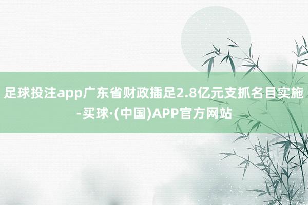 足球投注app广东省财政插足2.8亿元支抓名目实施-买球·(中国)APP官方网站