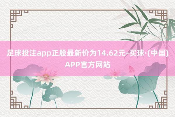 足球投注app正股最新价为14.62元-买球·(中国)APP官方网站