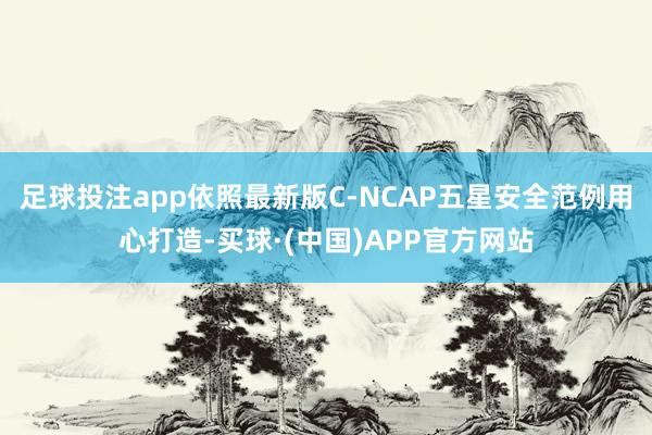 足球投注app依照最新版C-NCAP五星安全范例用心打造-买球·(中国)APP官方网站