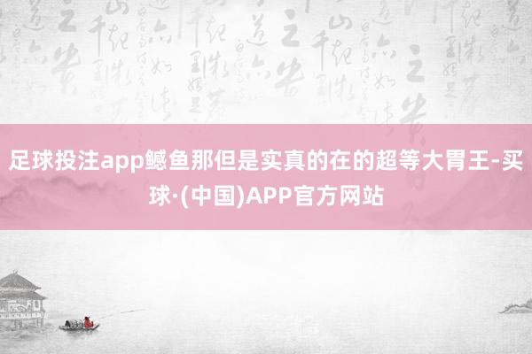 足球投注app鳡鱼那但是实真的在的超等大胃王-买球·(中国)APP官方网站