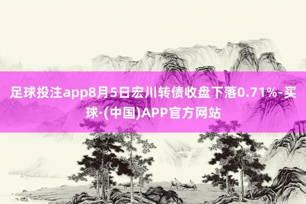 足球投注app8月5日宏川转债收盘下落0.71%-买球·(中国)APP官方网站