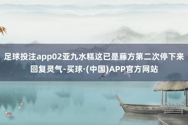 足球投注app02亚九水糕这已是藤方第二次停下来回复灵气-买球·(中国)APP官方网站