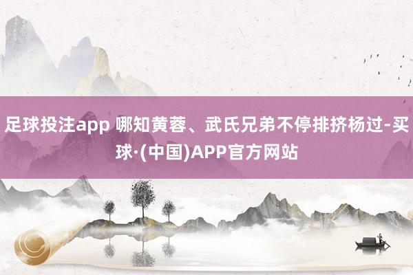 足球投注app 哪知黄蓉、武氏兄弟不停排挤杨过-买球·(中国)APP官方网站