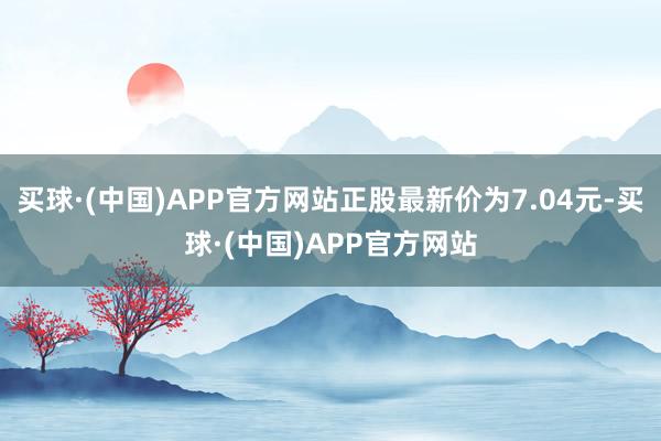 买球·(中国)APP官方网站正股最新价为7.04元-买球·(中国)APP官方网站