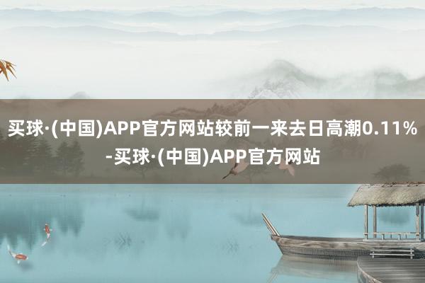 买球·(中国)APP官方网站较前一来去日高潮0.11%-买球·(中国)APP官方网站