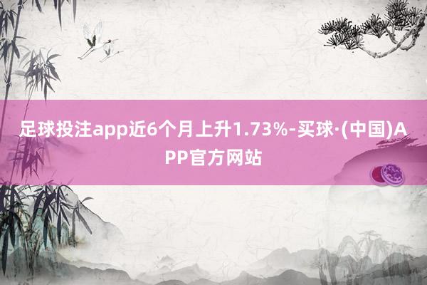 足球投注app近6个月上升1.73%-买球·(中国)APP官方网站