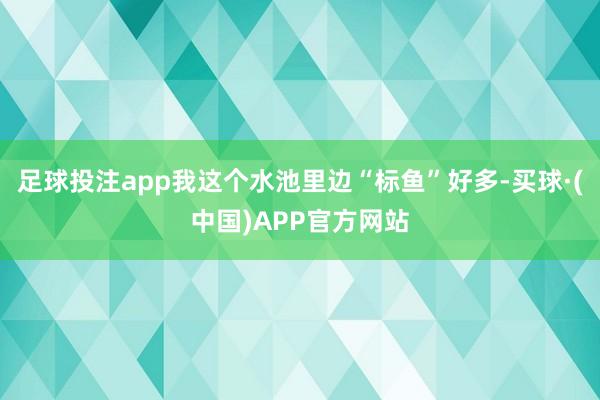 足球投注app我这个水池里边“标鱼”好多-买球·(中国)APP官方网站