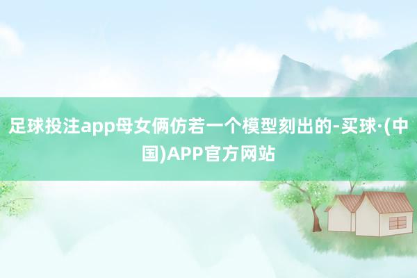 足球投注app母女俩仿若一个模型刻出的-买球·(中国)APP官方网站