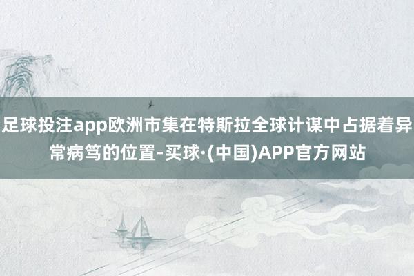 足球投注app欧洲市集在特斯拉全球计谋中占据着异常病笃的位置-买球·(中国)APP官方网站