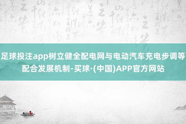 足球投注app树立健全配电网与电动汽车充电步调等配合发展机制-买球·(中国)APP官方网站