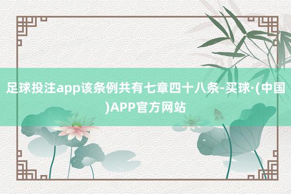 足球投注app该条例共有七章四十八条-买球·(中国)APP官方网站